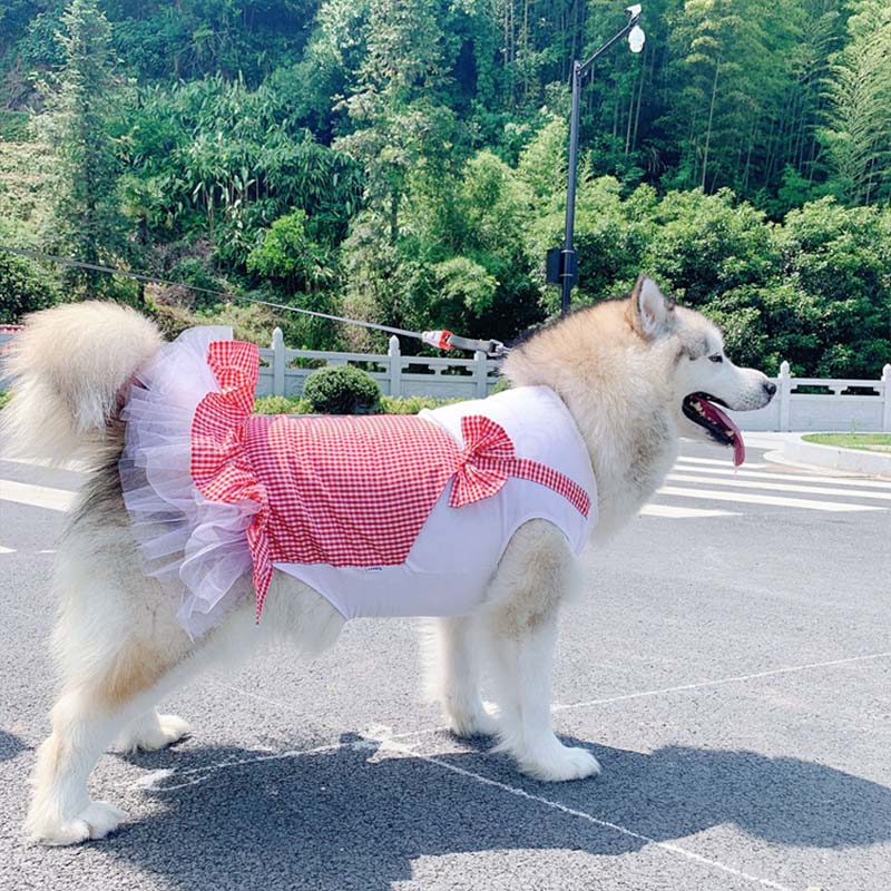 Dog Clothes Princess Dog Costume Labrador Golden Retriever Big Dog Clothes - Happy paws world