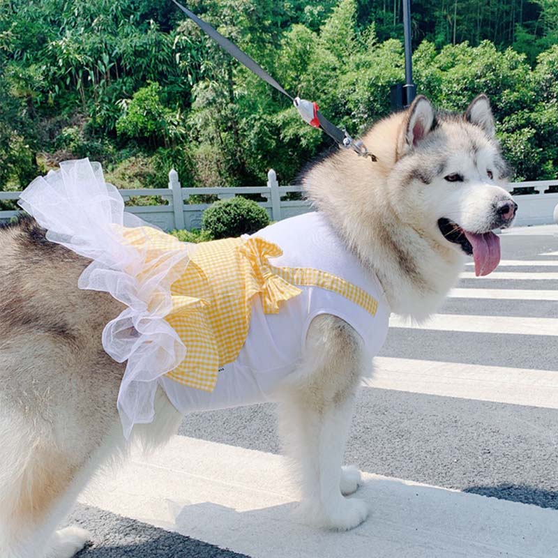 Dog Clothes Princess Dog Costume Labrador Golden Retriever Big Dog Clothes - Happy paws world