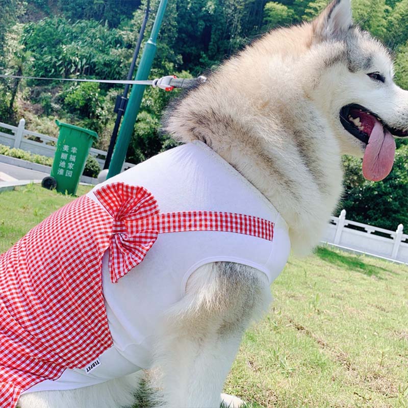 Dog Clothes Princess Dog Costume Labrador Golden Retriever Big Dog Clothes - Happy paws world