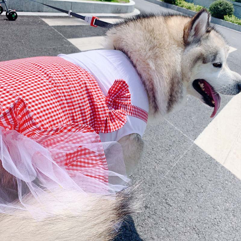 Dog Clothes Princess Dog Costume Labrador Golden Retriever Big Dog Clothes - Happy paws world
