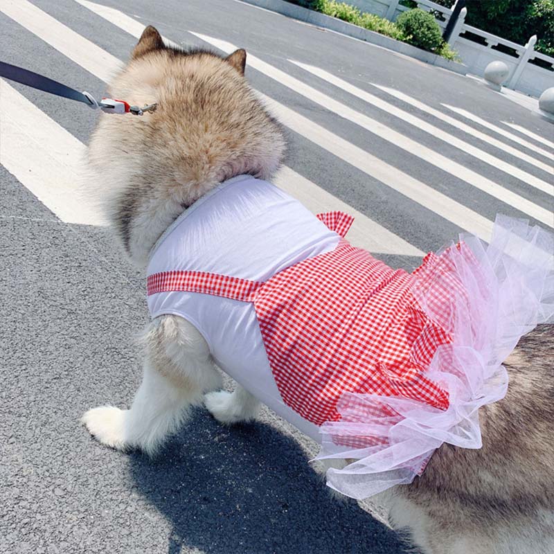 Dog Clothes Princess Dog Costume Labrador Golden Retriever Big Dog Clothes - Happy paws world