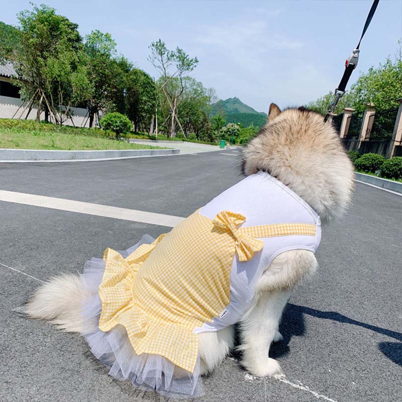 Dog Clothes Princess Dog Costume Labrador Golden Retriever Big Dog Clothes - Happy paws world